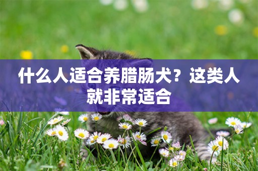 什么人適合養臘腸犬？這類人就非常適合