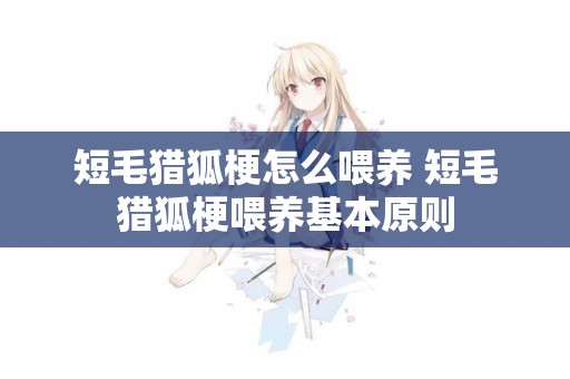 短毛獵狐梗怎么喂養 短毛獵狐梗喂養基本原則