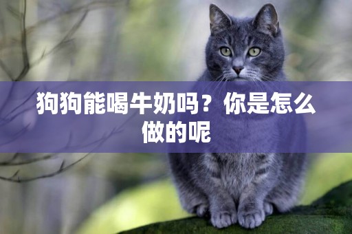 狗狗能喝牛奶嗎？你是怎么做的呢