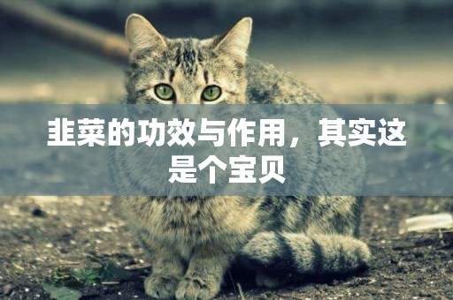 韭菜的功效與作用，其實這是個寶貝