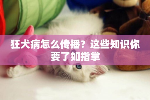 狂犬病怎么傳播？這些知識你要了如指掌
