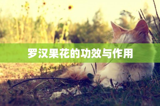 羅漢果花的功效與作用