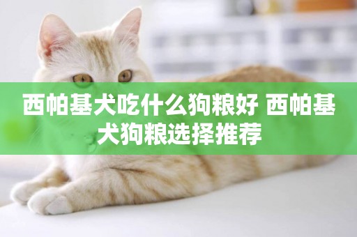 西帕基犬吃什么狗糧好 西帕基犬狗糧選擇推薦