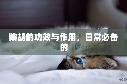 柴胡的功效與作用，日常必備的