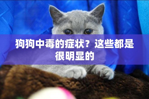 狗狗中毒的癥狀？這些都是很明顯的