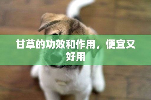 甘草的功效和作用，便宜又好用