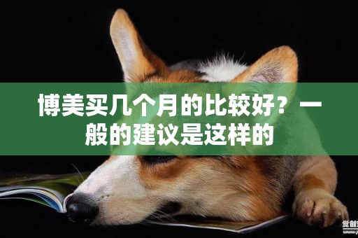 博美買幾個月的比較好？一般的建議是這樣的