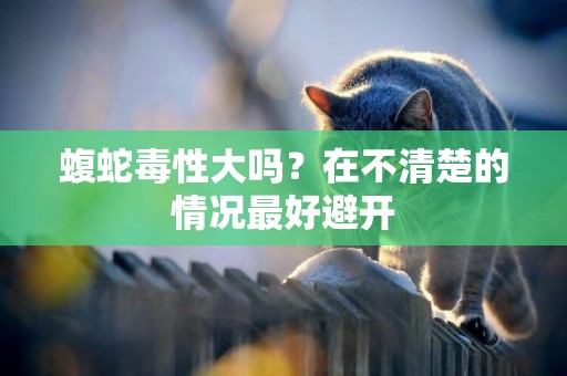 蝮蛇毒性大嗎？在不清楚的情況最好避開