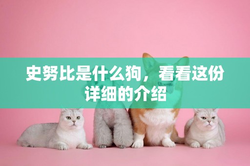史努比是什么狗，看看這份詳細的介紹