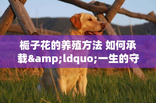梔子花的養殖方法 如何承載&ldquo;一生的守候&rdquo;
