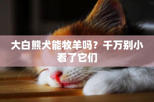 大白熊犬能牧羊嗎？千萬別小看了它們
