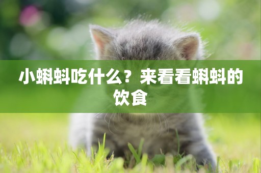 小蝌蚪吃什么？來看看蝌蚪的飲食