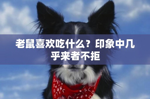 老鼠喜歡吃什么？印象中幾乎來者不拒