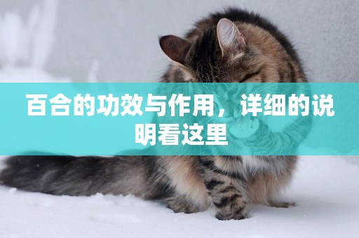 百合的功效與作用，詳細的說明看這里