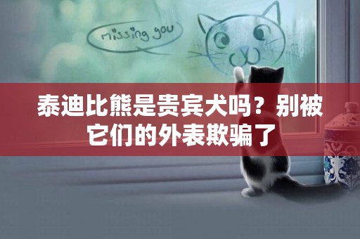 泰迪比熊是貴賓犬嗎？別被它們的外表欺騙了