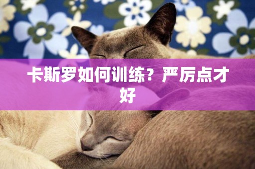 卡斯羅如何訓練？嚴厲點才好