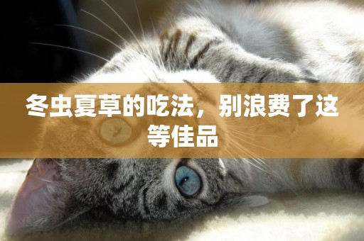 冬蟲夏草的吃法，別浪費了這等佳品