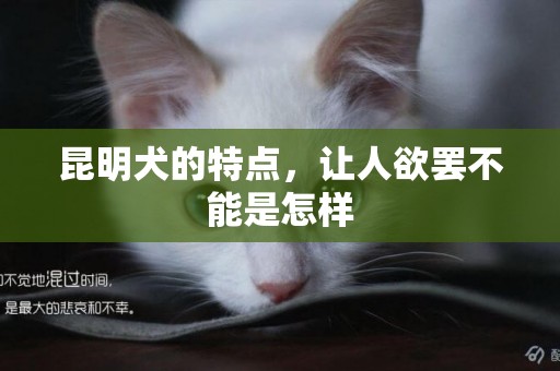 昆明犬的特點，讓人欲罷不能是怎樣