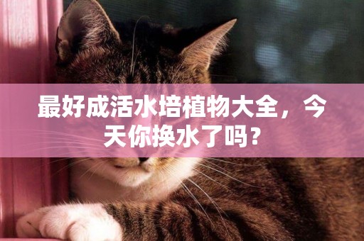 最好成活水培植物大全，今天你換水了嗎？