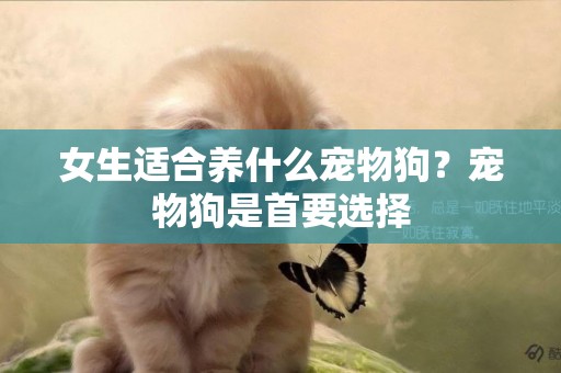 女生適合養什么寵物狗？寵物狗是首要選擇