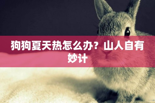 狗狗夏天熱怎么辦？山人自有妙計