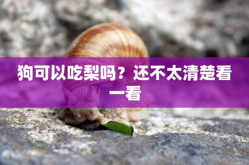 狗可以吃梨嗎？還不太清楚看一看