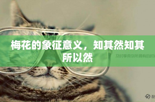 梅花的象征意義，知其然知其所以然