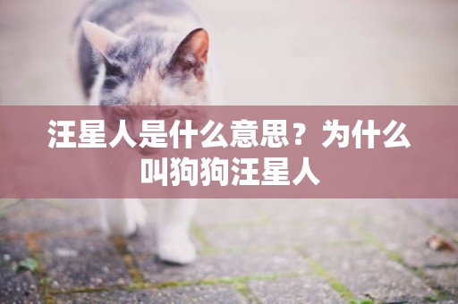 汪星人是什么意思？為什么叫狗狗汪星人