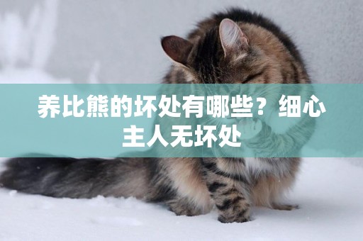 養比熊的壞處有哪些？細心主人無壞處