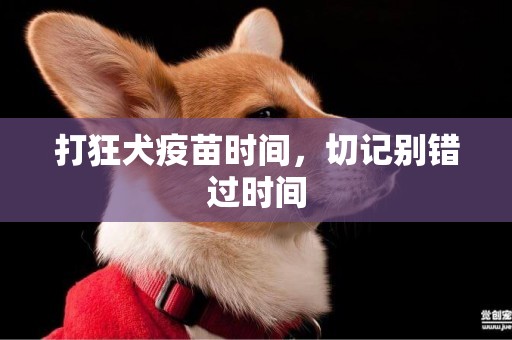打狂犬疫苗時間，切記別錯過時間