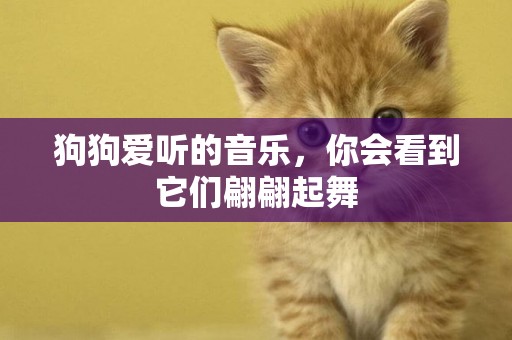 狗狗愛聽的音樂，你會看到它們翩翩起舞