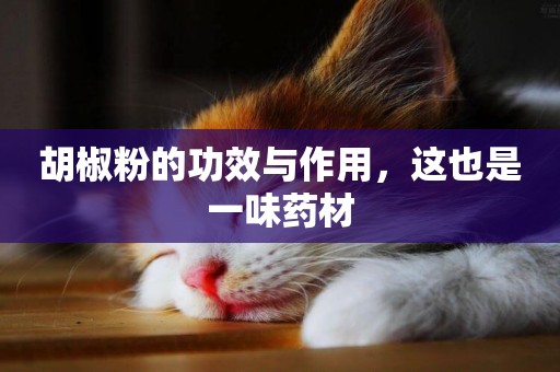 胡椒粉的功效與作用，這也是一味藥材