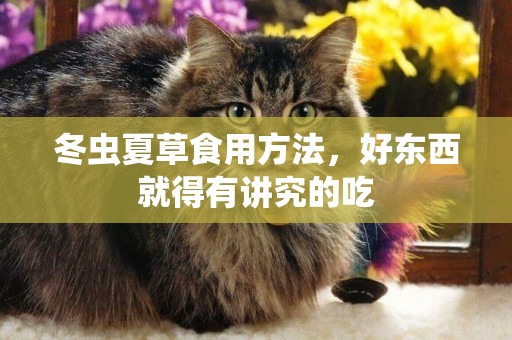 冬蟲夏草食用方法，好東西就得有講究的吃