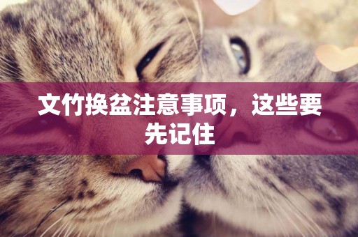 文竹換盆注意事項，這些要先記住