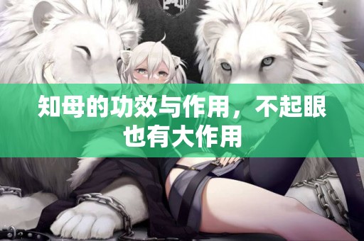 知母的功效與作用，不起眼也有大作用