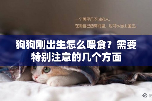 狗狗剛出生怎么喂食？需要特別注意的幾個方面