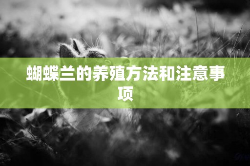 蝴蝶蘭的養殖方法和注意事項
