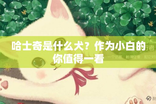 哈士奇是什么犬？作為小白的你值得一看