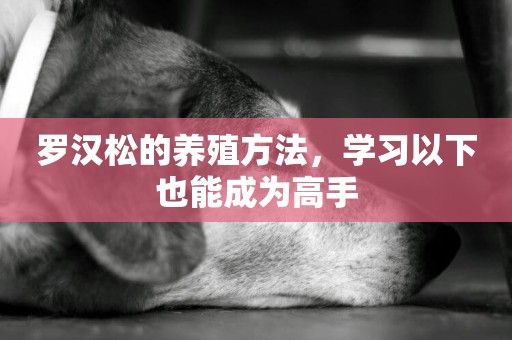 羅漢松的養殖方法，學習以下也能成為高手
