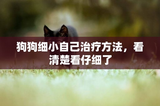 狗狗細小自己治療方法，看清楚看仔細了