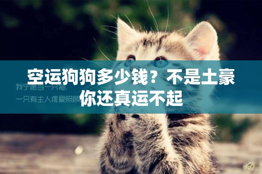 空運狗狗多少錢？不是土豪你還真運不起