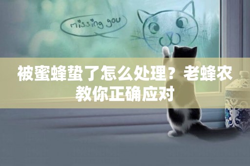 被蜜蜂蟄了怎么處理？老蜂農教你正確應對