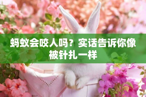 螞蟻會咬人嗎？實話告訴你像被針扎一樣