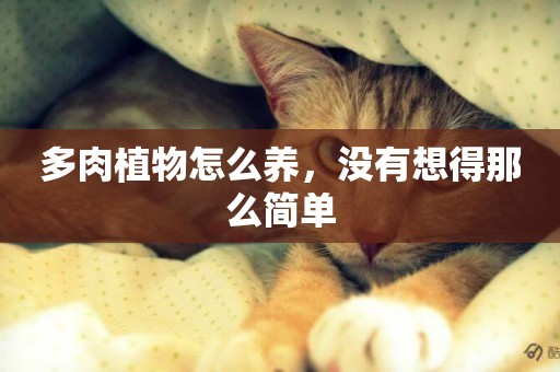 多肉植物怎么養，沒有想得那么簡單