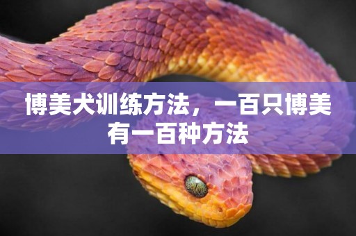 博美犬訓練方法，一百只博美有一百種方法