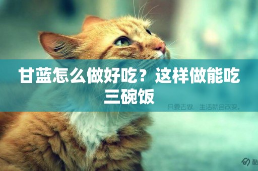 甘藍怎么做好吃？這樣做能吃三碗飯