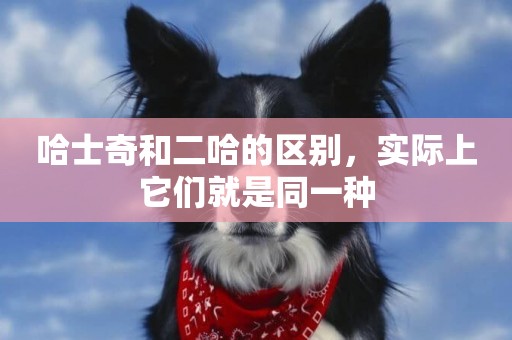 哈士奇和二哈的區別，實際上它們就是同一種