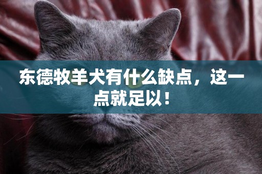 東德牧羊犬有什么缺點，這一點就足以！