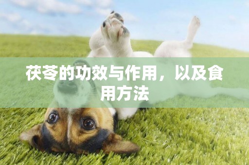 茯苓的功效與作用，以及食用方法