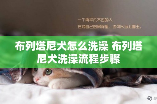 布列塔尼犬怎么洗澡 布列塔尼犬洗澡流程步驟